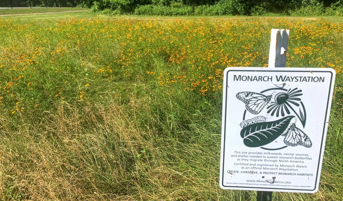 Pollinator Plot